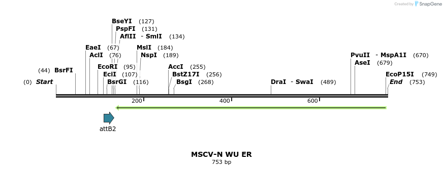 51391_map