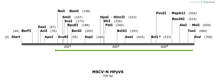 51394_map