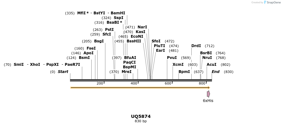51397_map