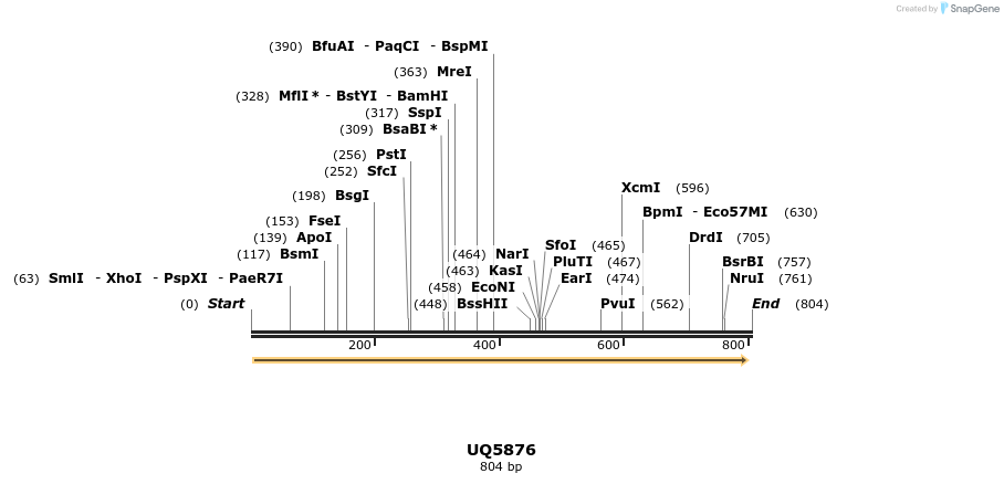 51398_map