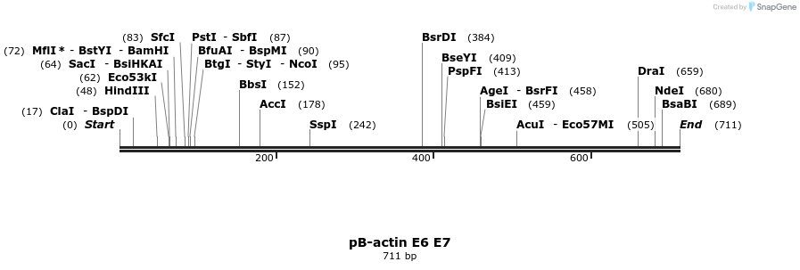 51401_map