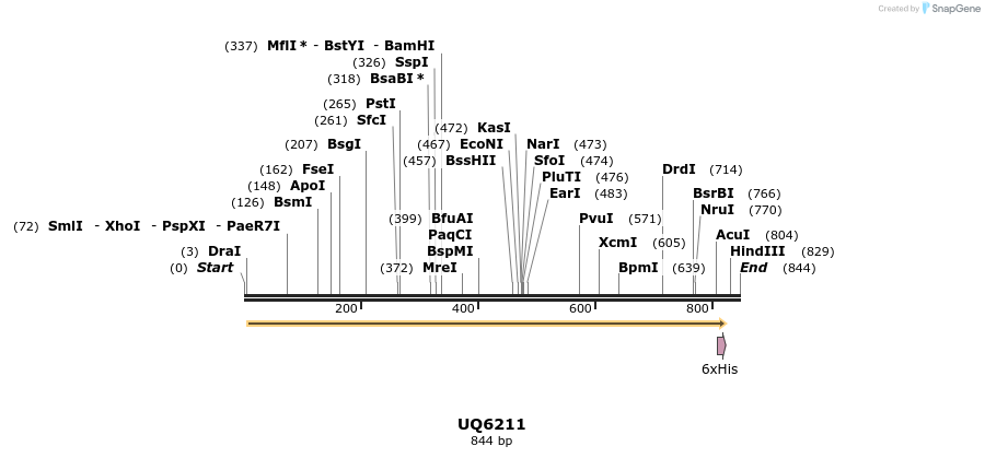 51402_map