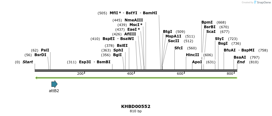 51407_map
