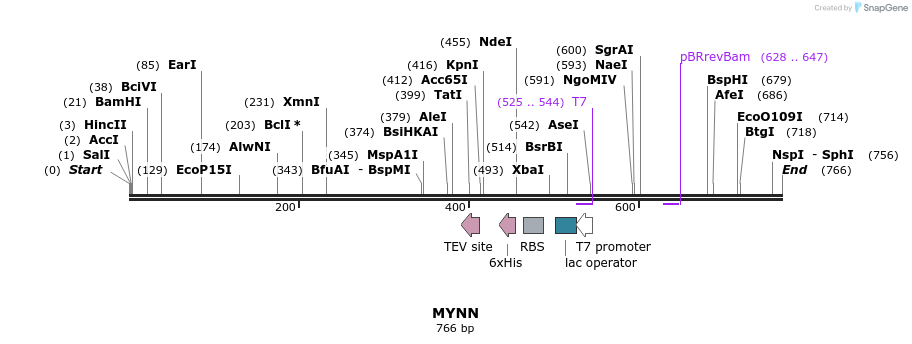 51409_map