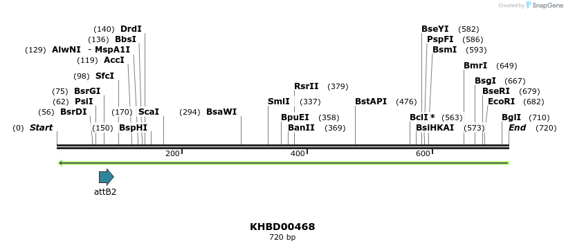 51410_map