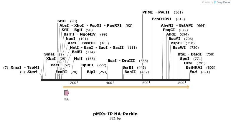 51413_map