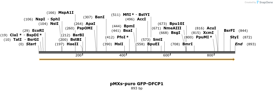 51416_map