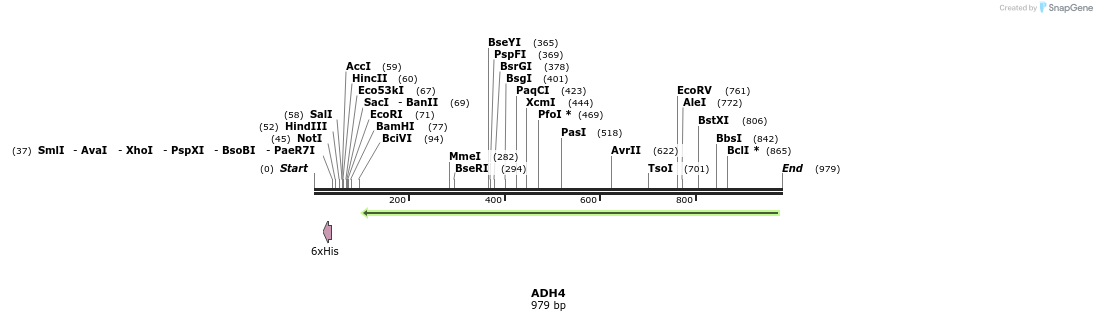 51417_map