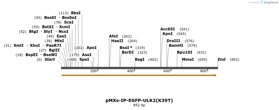 51419_map