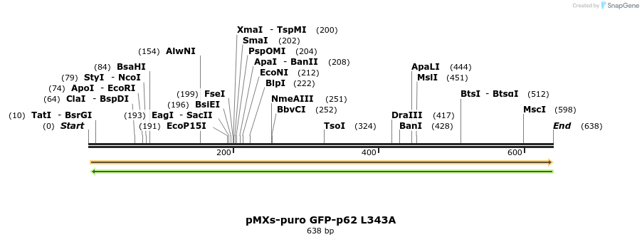51421_map