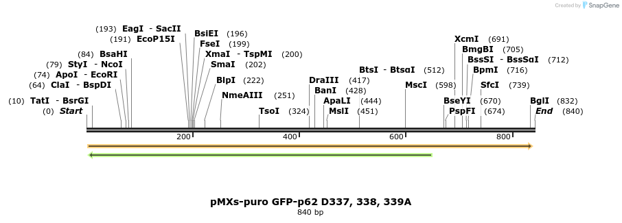 51424_map