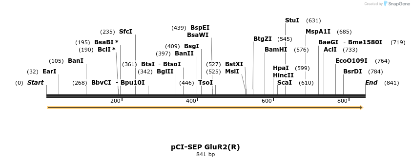 51426_map