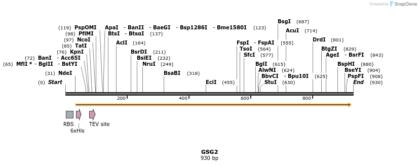 51432_map