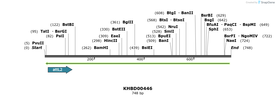 51437_map