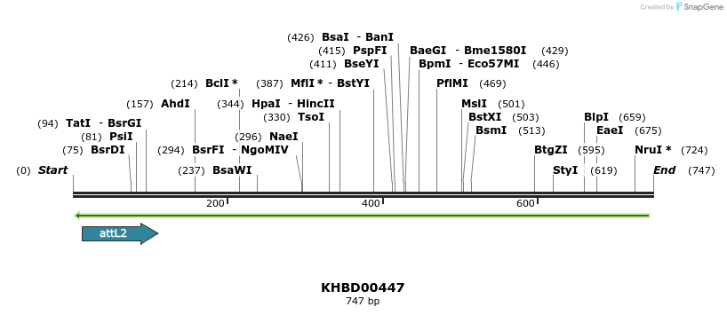 51441_map