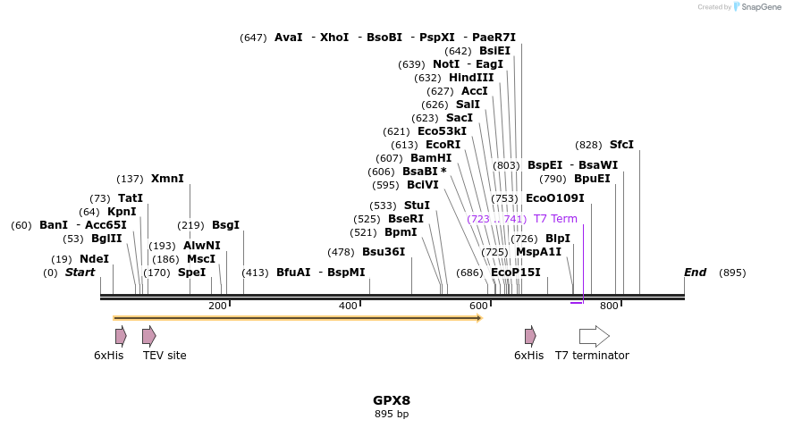 51442_map