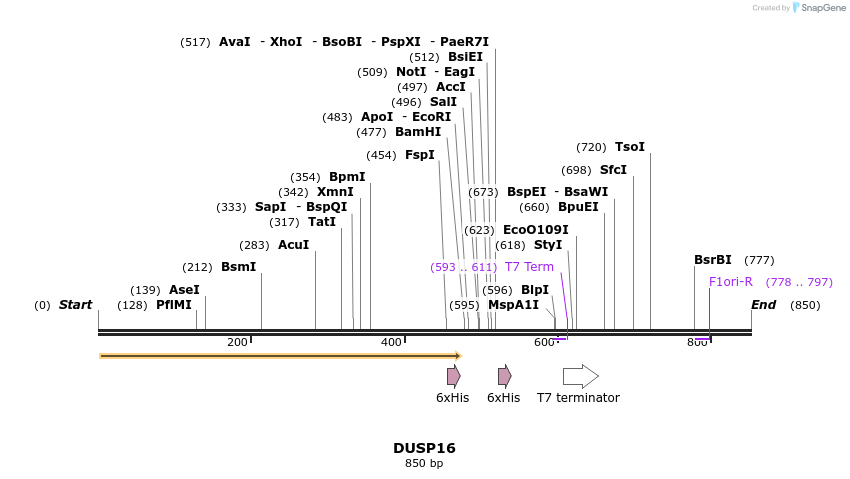 51446_map