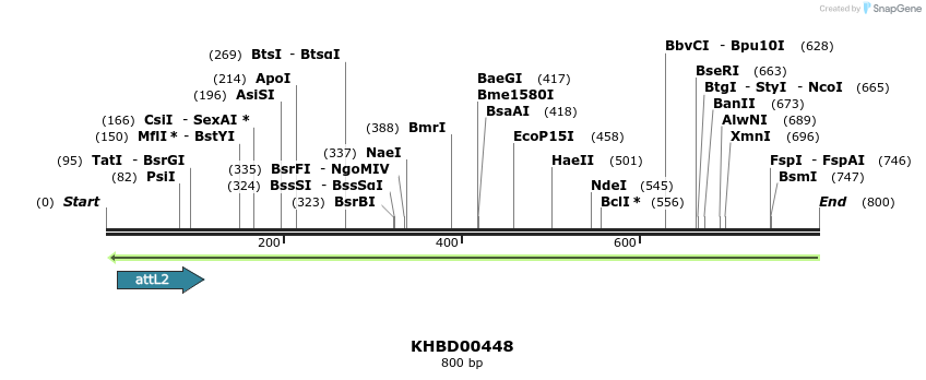 51447_map