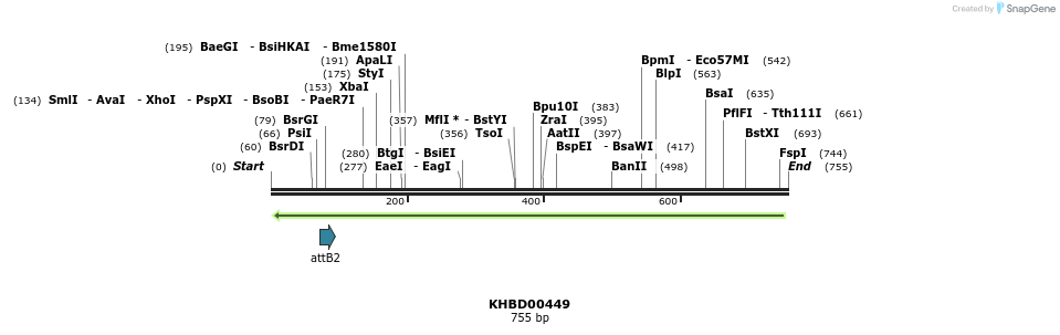 51453_map