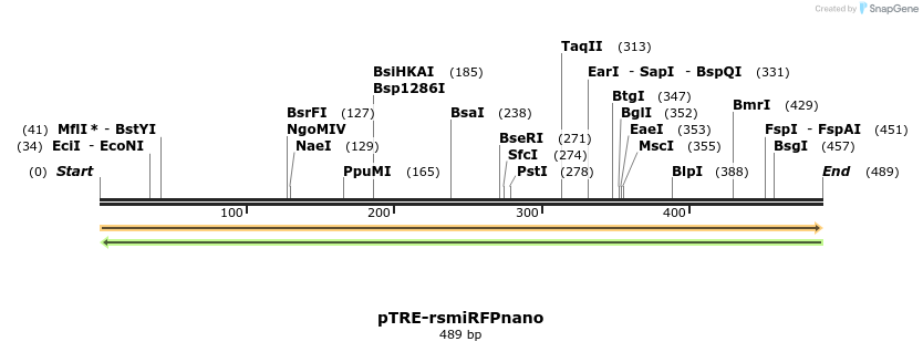 514542_map