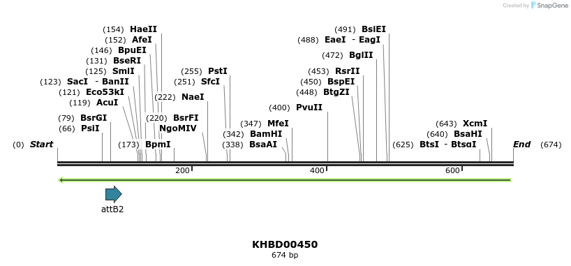 51458_map