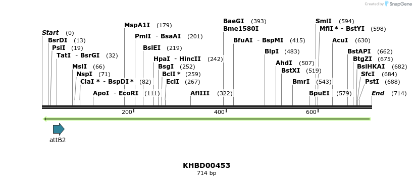 51459_map
