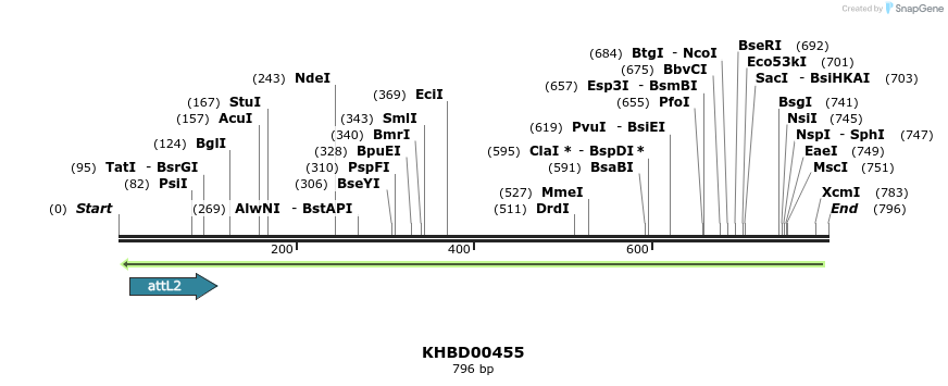 51461_map
