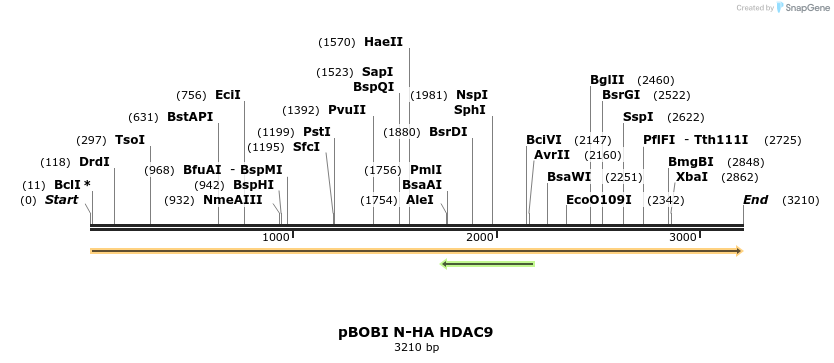 514611_map