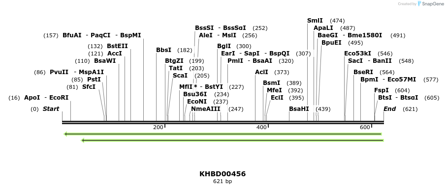 51462_map