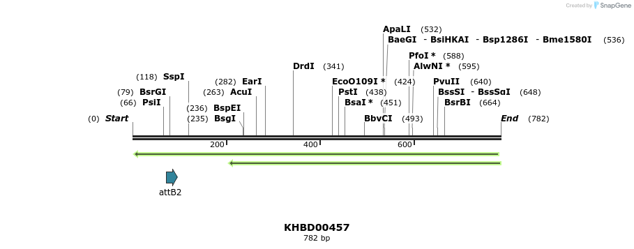 51463_map