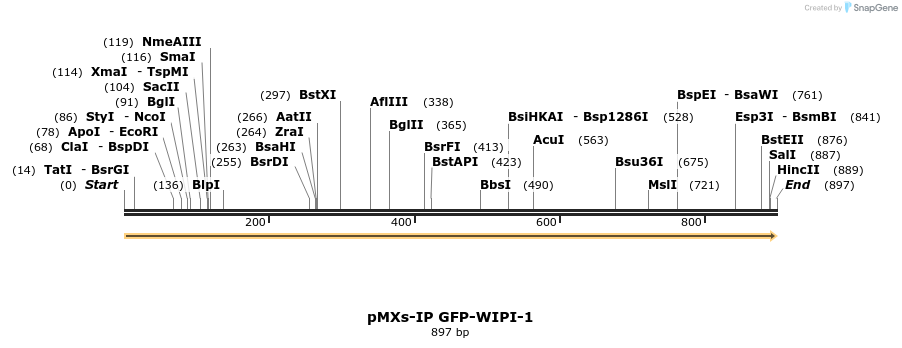 51465_map