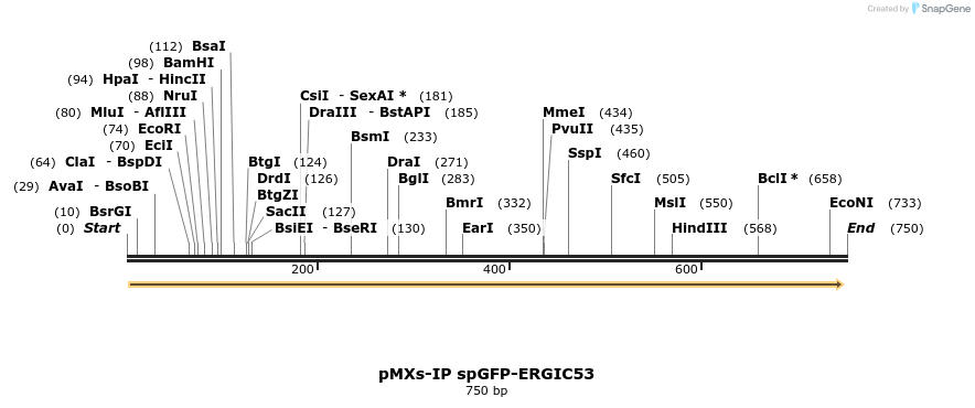51466_map