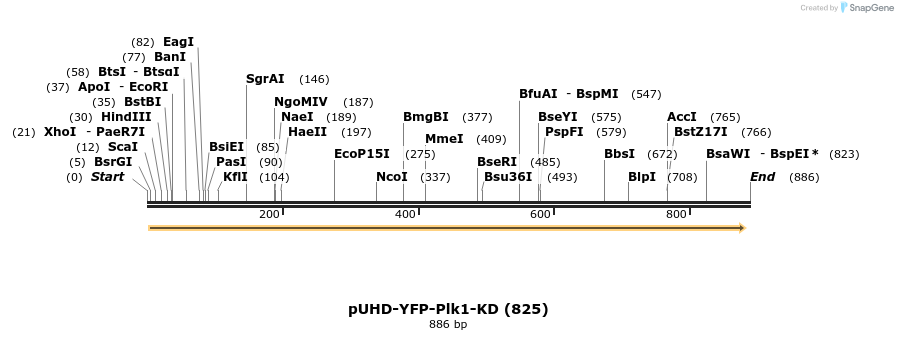 51471_map