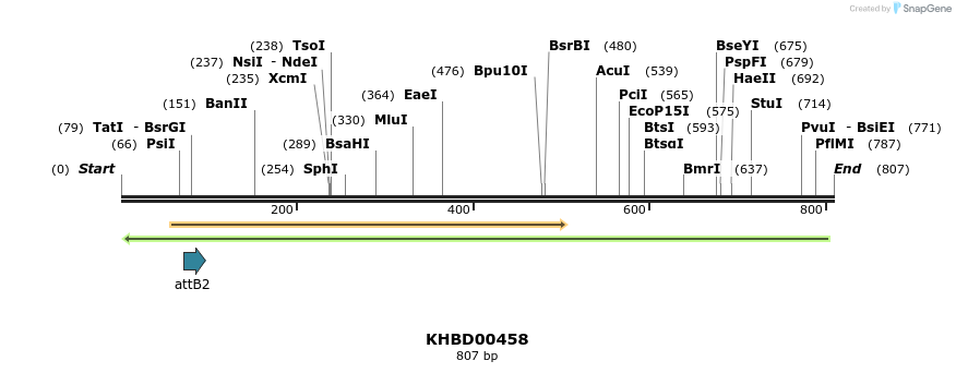 51481_map