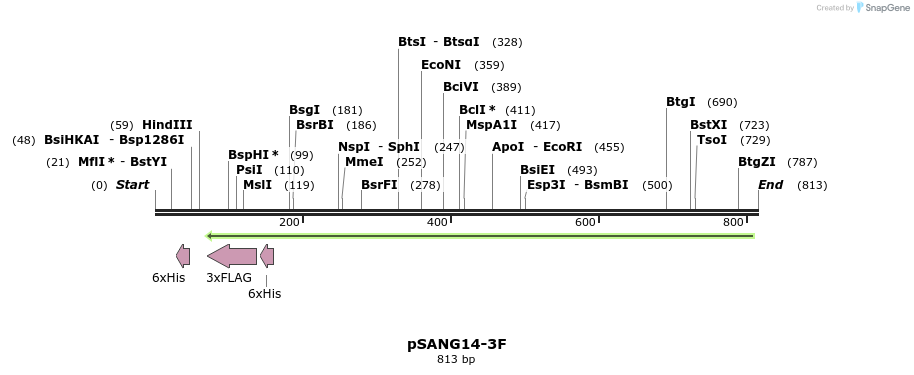 51493_map
