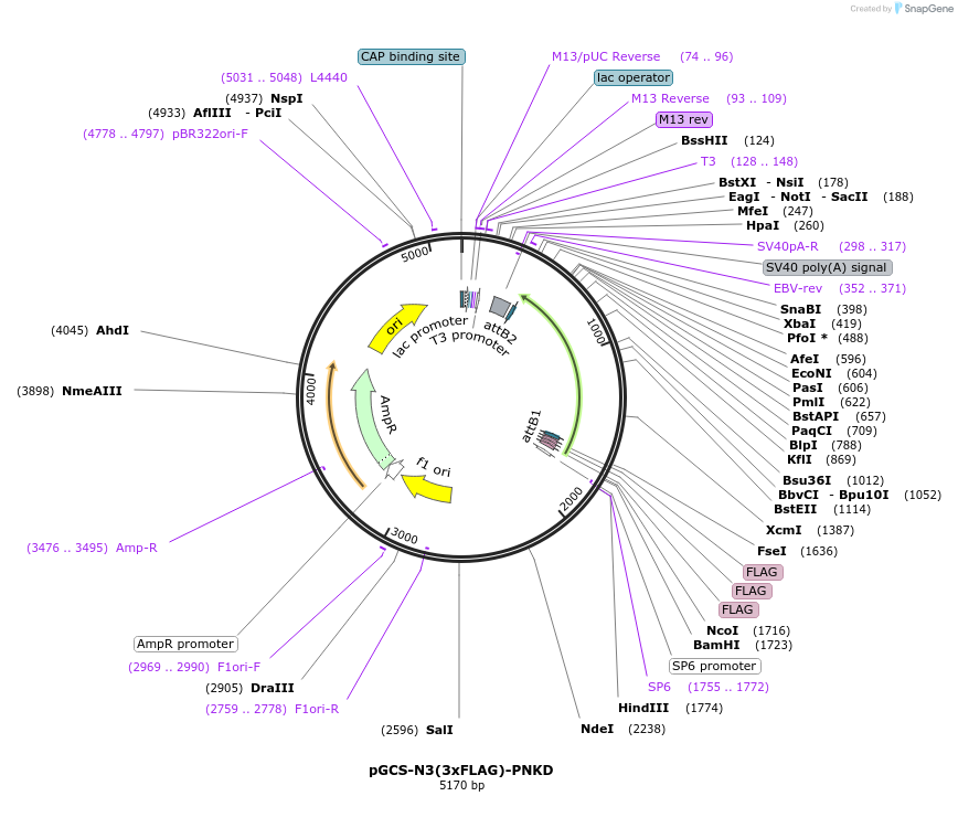 514997_map