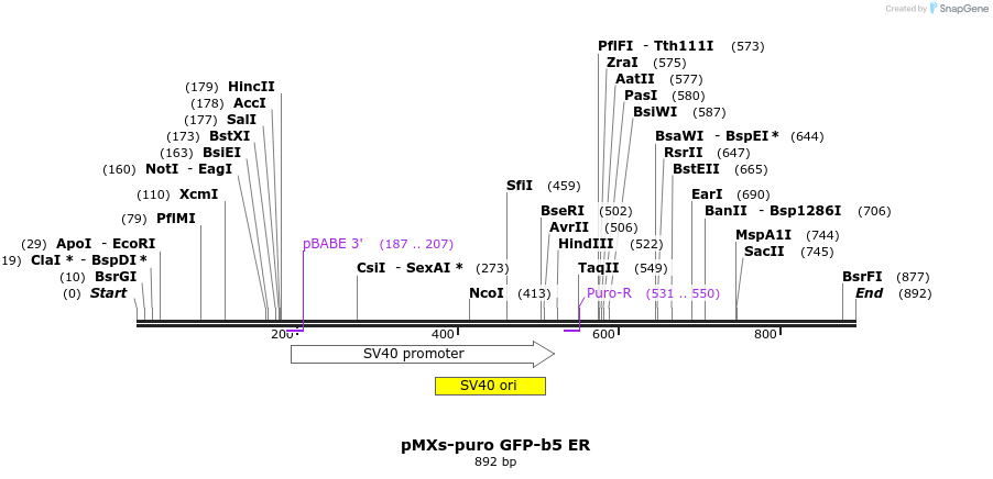 51505_map