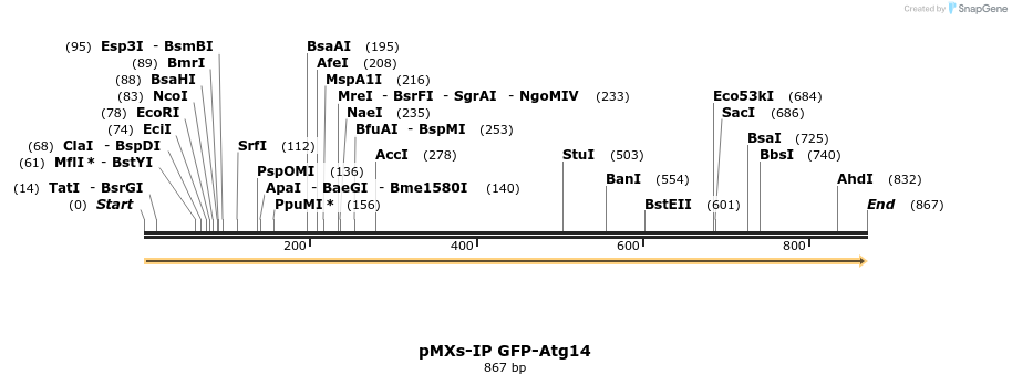 51509_map