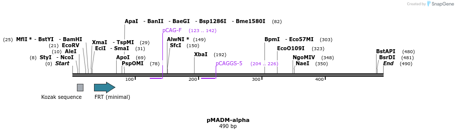 51518_map