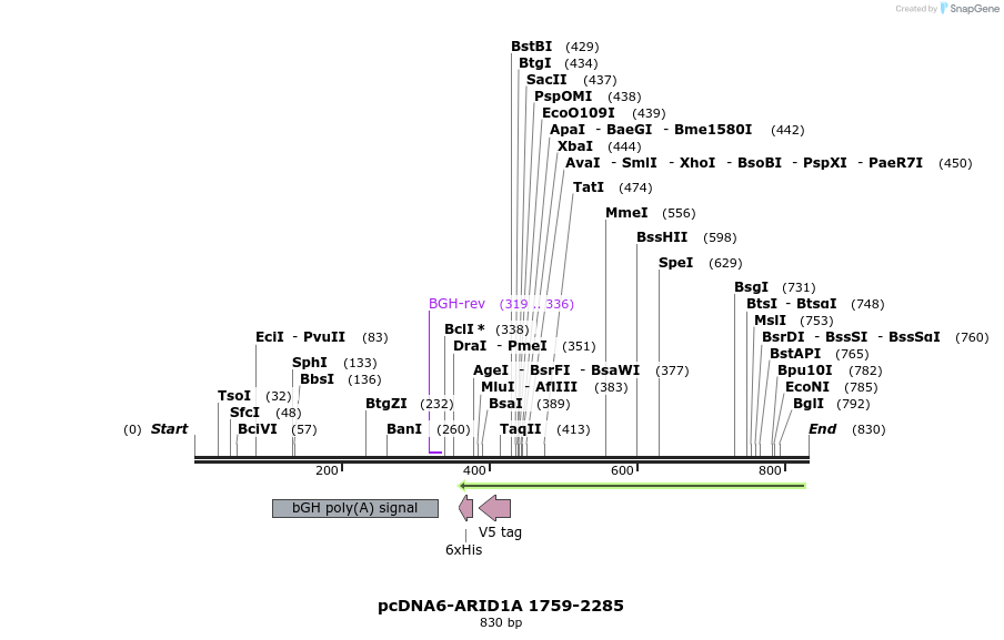 51526_map