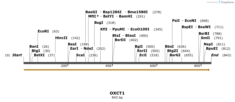 51527_map
