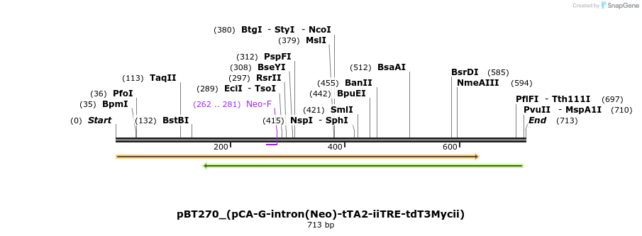 51529_map