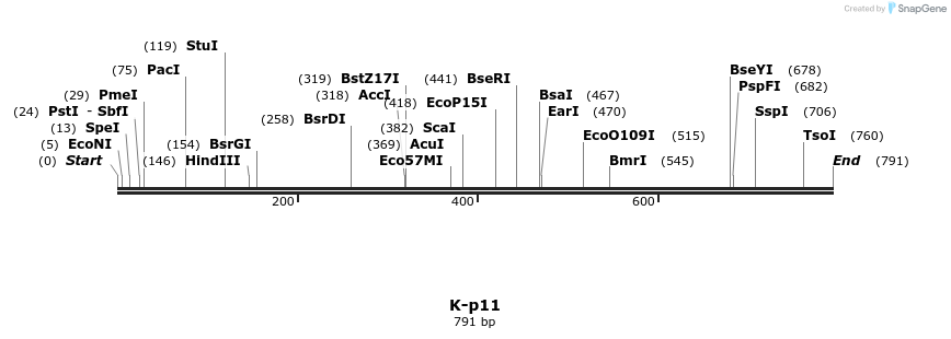 51530_map