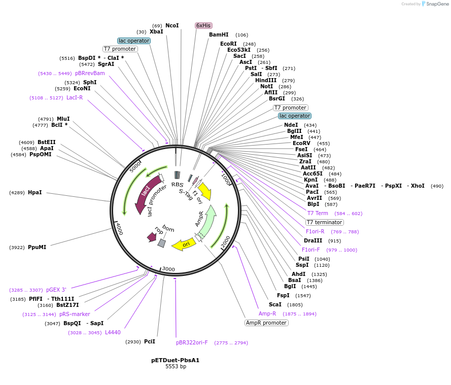 515303_map