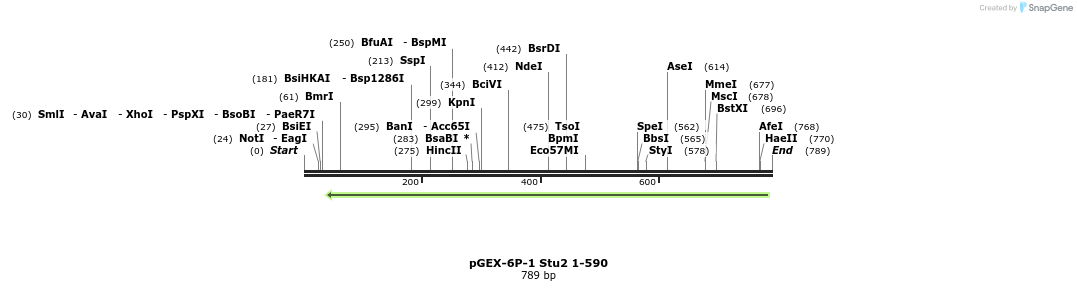 51533_map