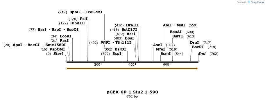 51535_map