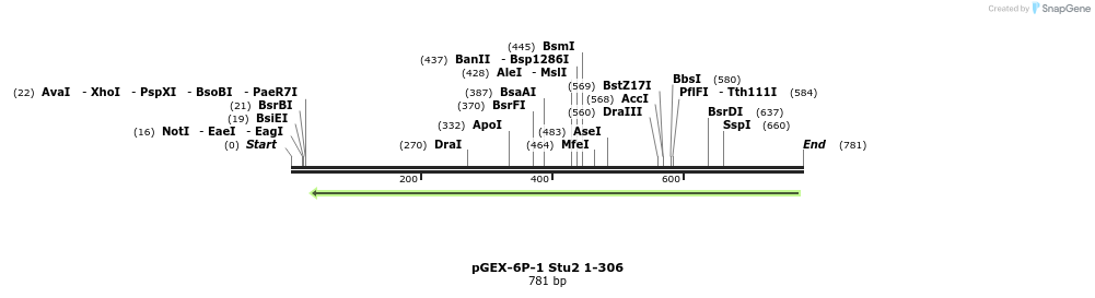 51536_map