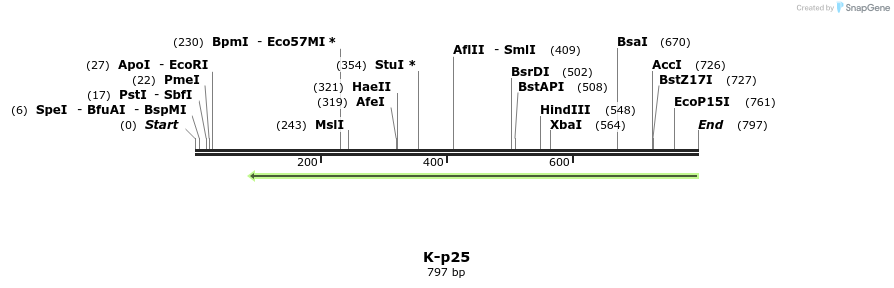 51537_map