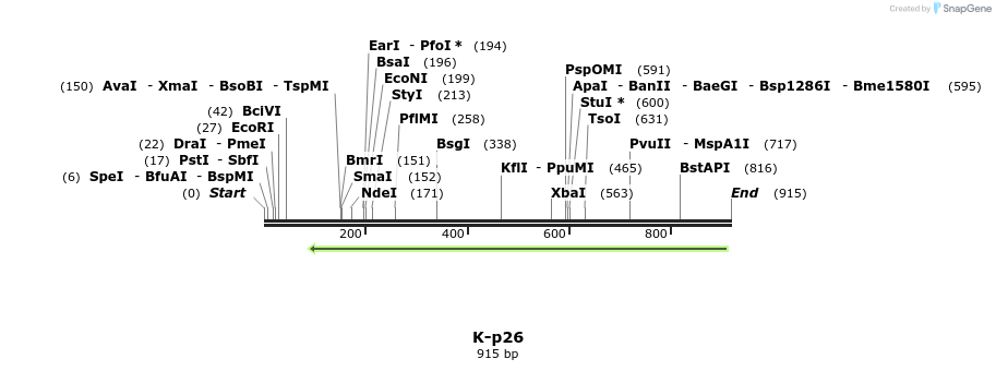 51538_map