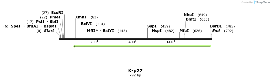 51539_map